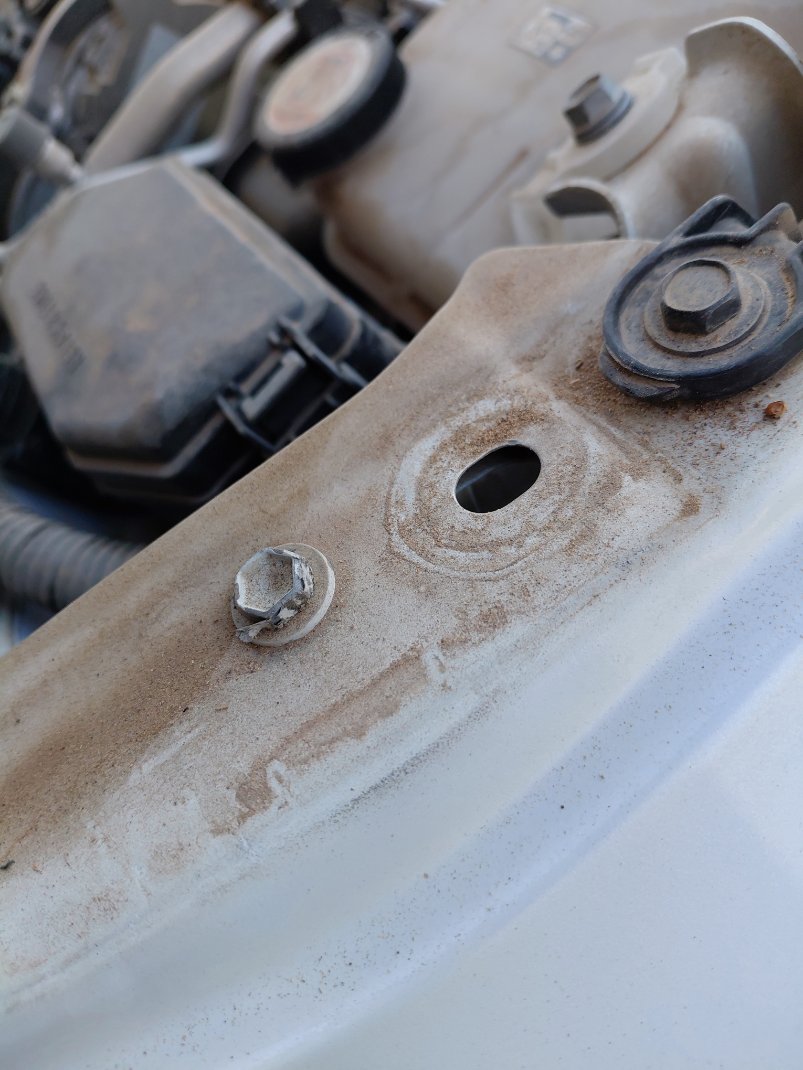 تويوتا كورولا  XLI  2024 image