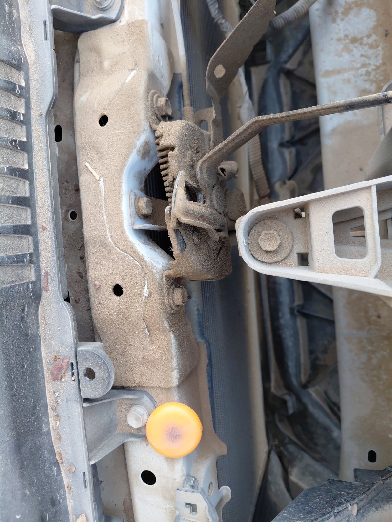 تويوتا كورولا  XLI  2024 image