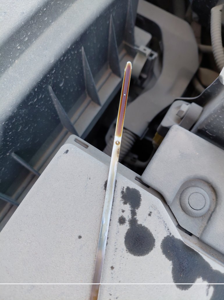 تويوتا كورولا XLI 2024 image