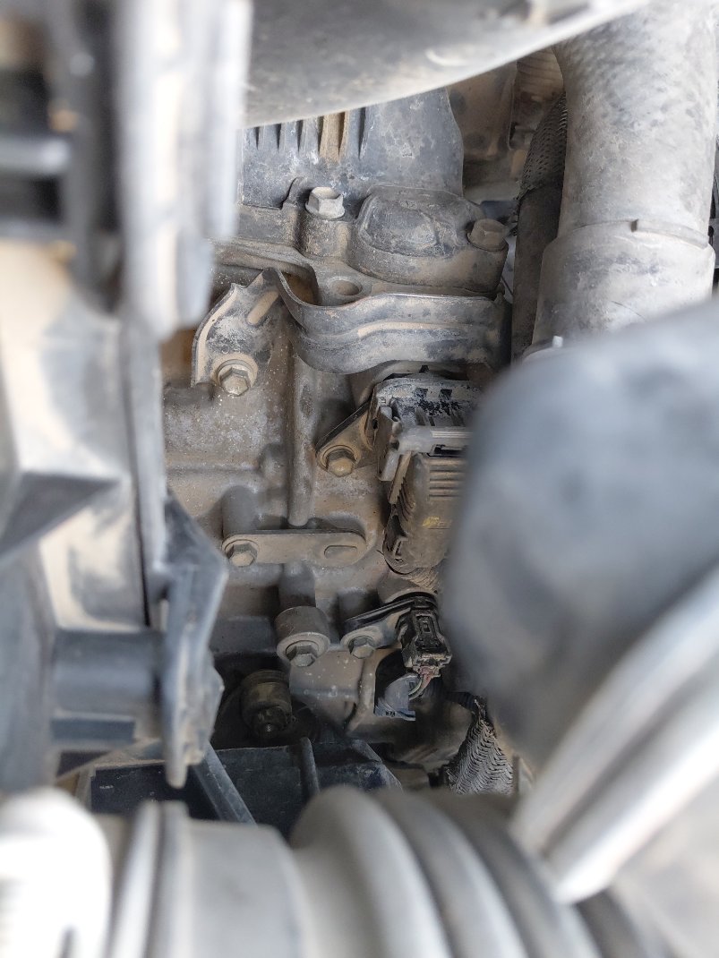 تويوتا كورولا  XLI  2024 image