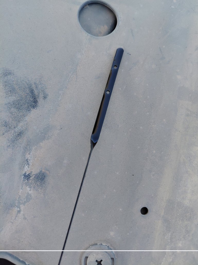 إم جي 5  2024 image