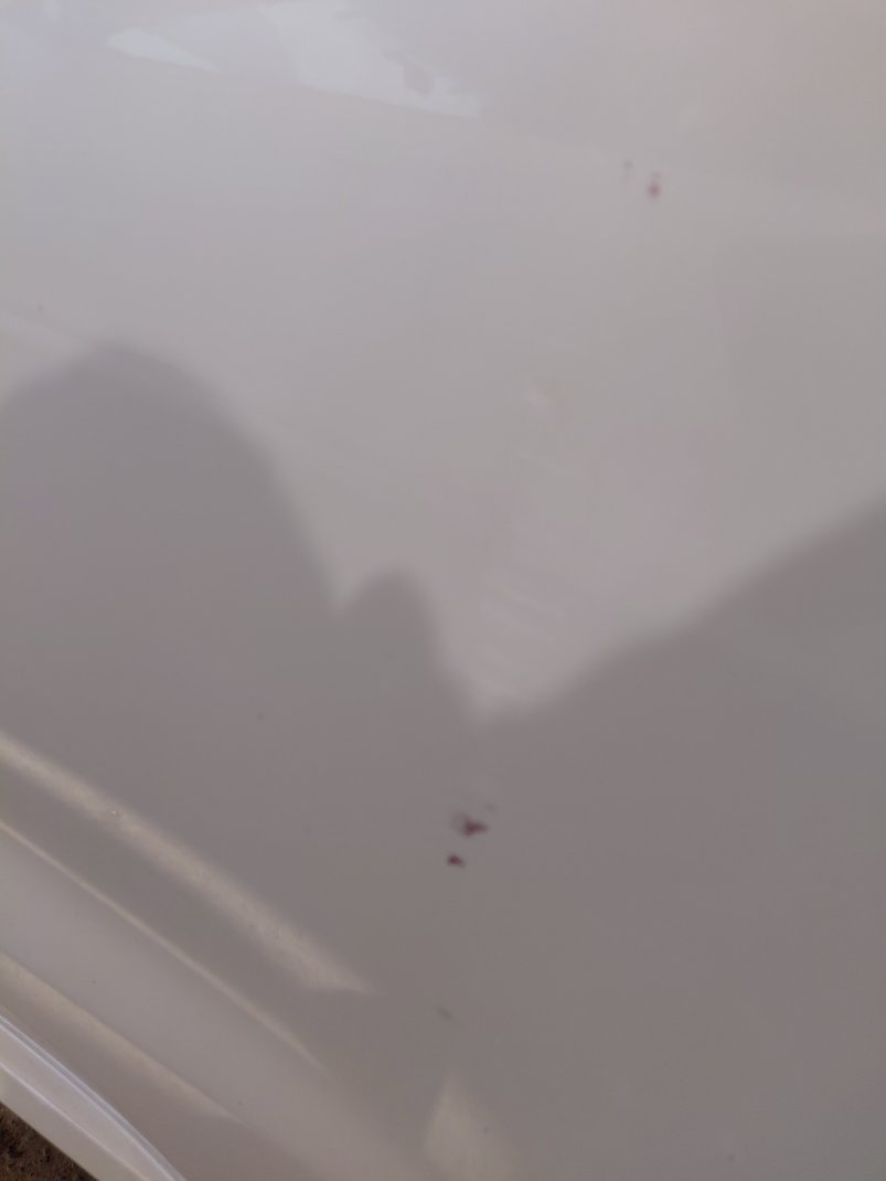 تويوتا كورولا XLI  2021 image