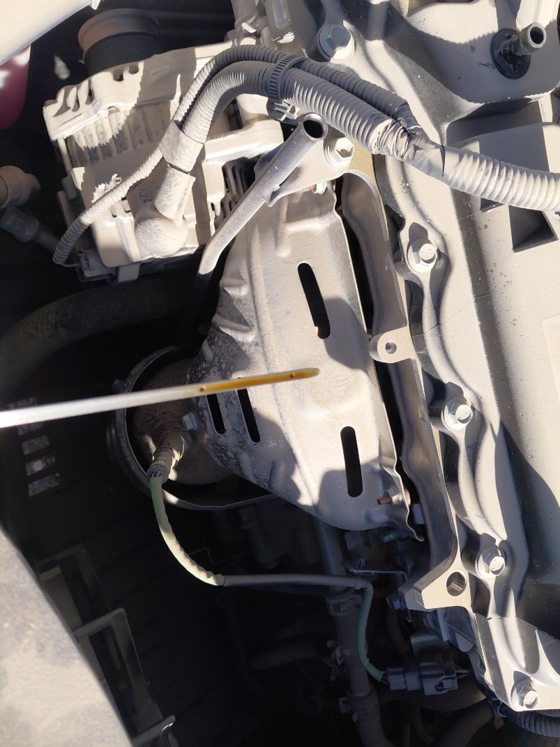 تويوتا يارس Y PLUS 2024 image