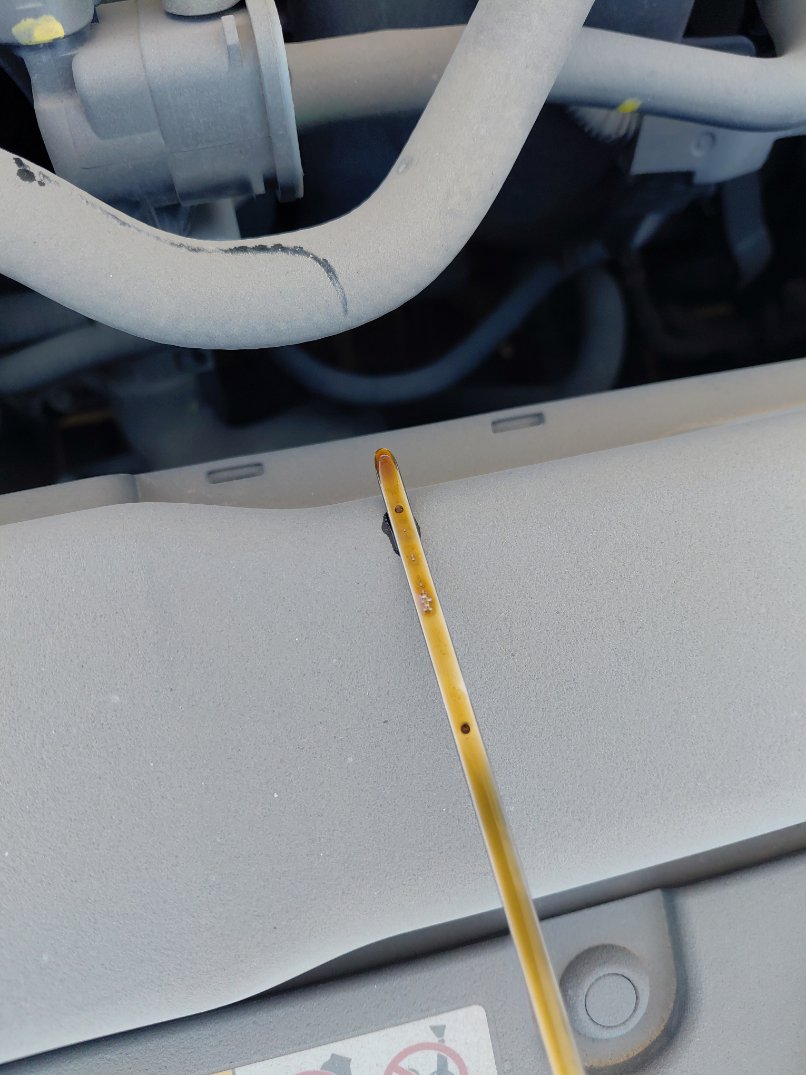 تويوتا كورولا XLI 2023 image