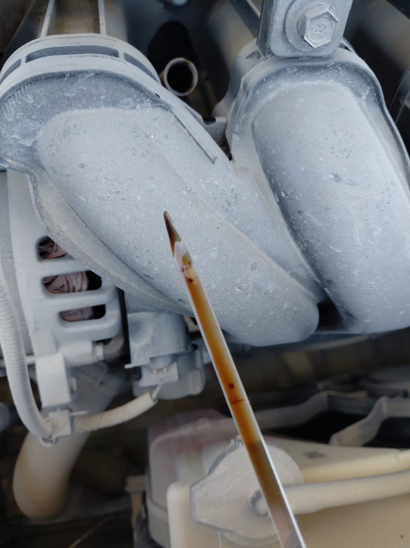 كيا بيجاس اي اكس 2024 image