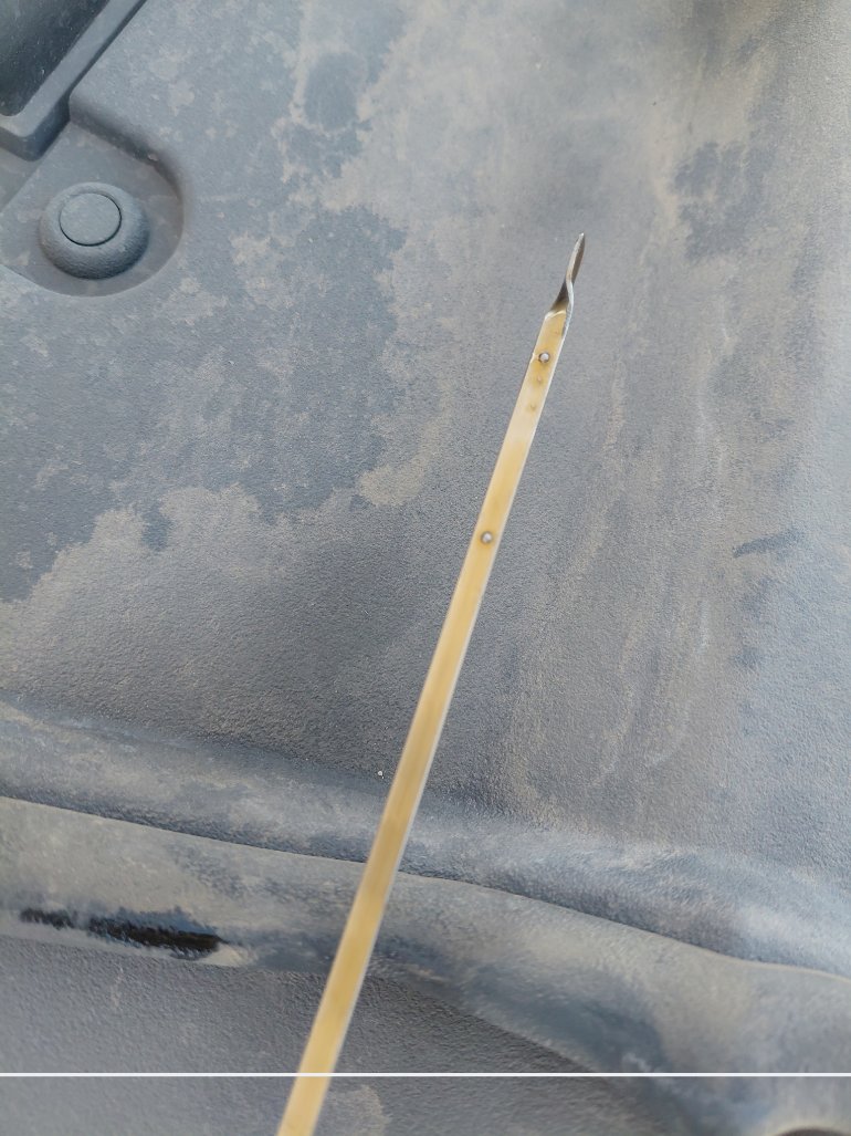 تويوتا كورولا XLI EXE M/R  2024 image