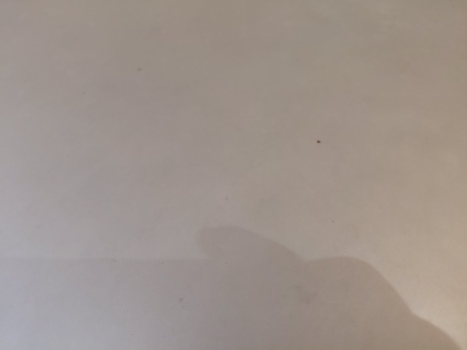 تويوتا كورولا  2007 image