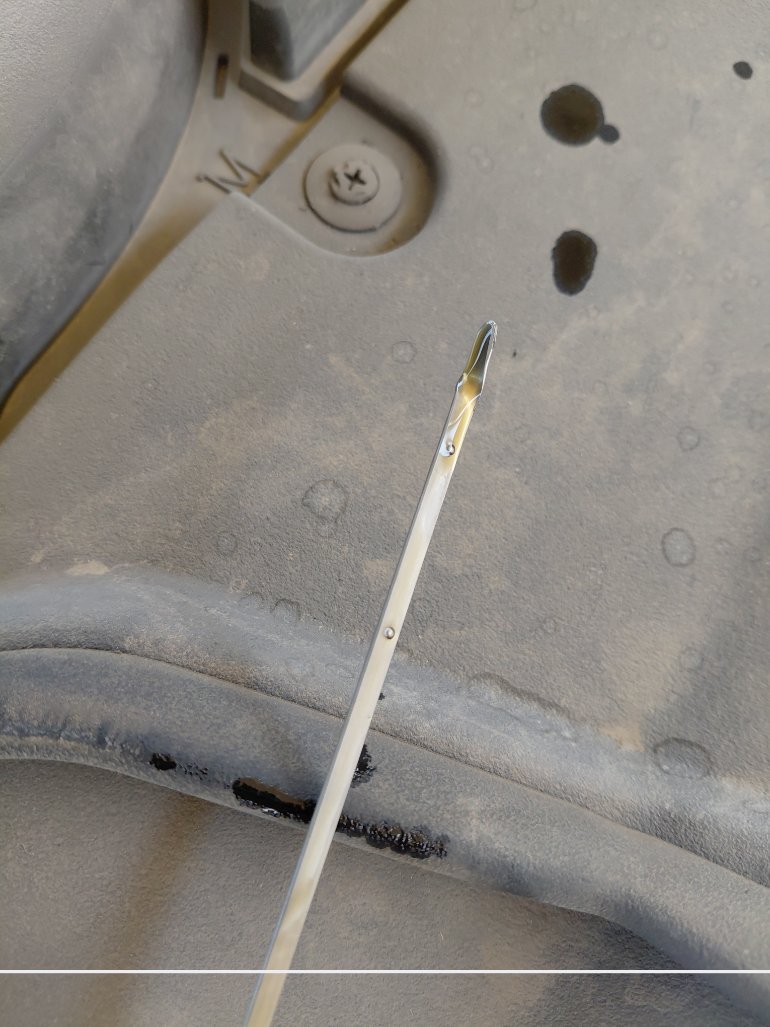 تويوتا كورولا XLI 2024 image