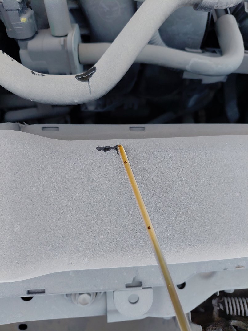 تويوتا كورولا XLI  2024 image