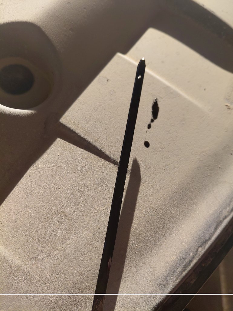 شانجان السفن اساسي  2024 image