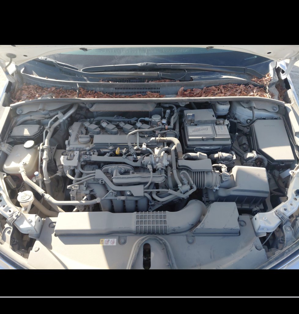 تويوتا كورولا XLI EXE  2024 image