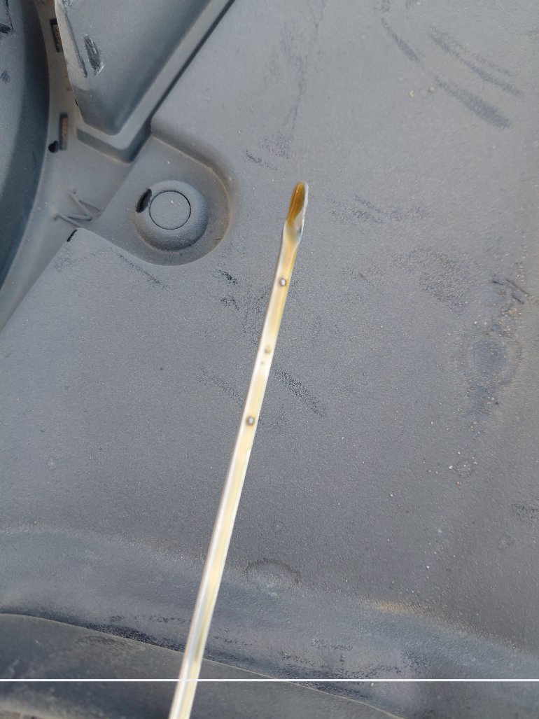 تويوتا كورولا XLI EXE  2024 image