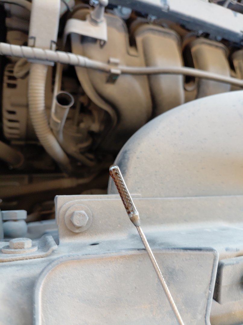 شيري تيجو 4 برو لوكس 2023 image