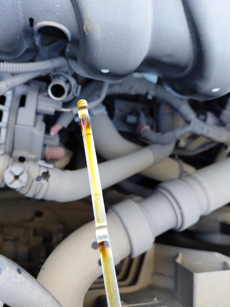 رينو ميجان STD 2024 image