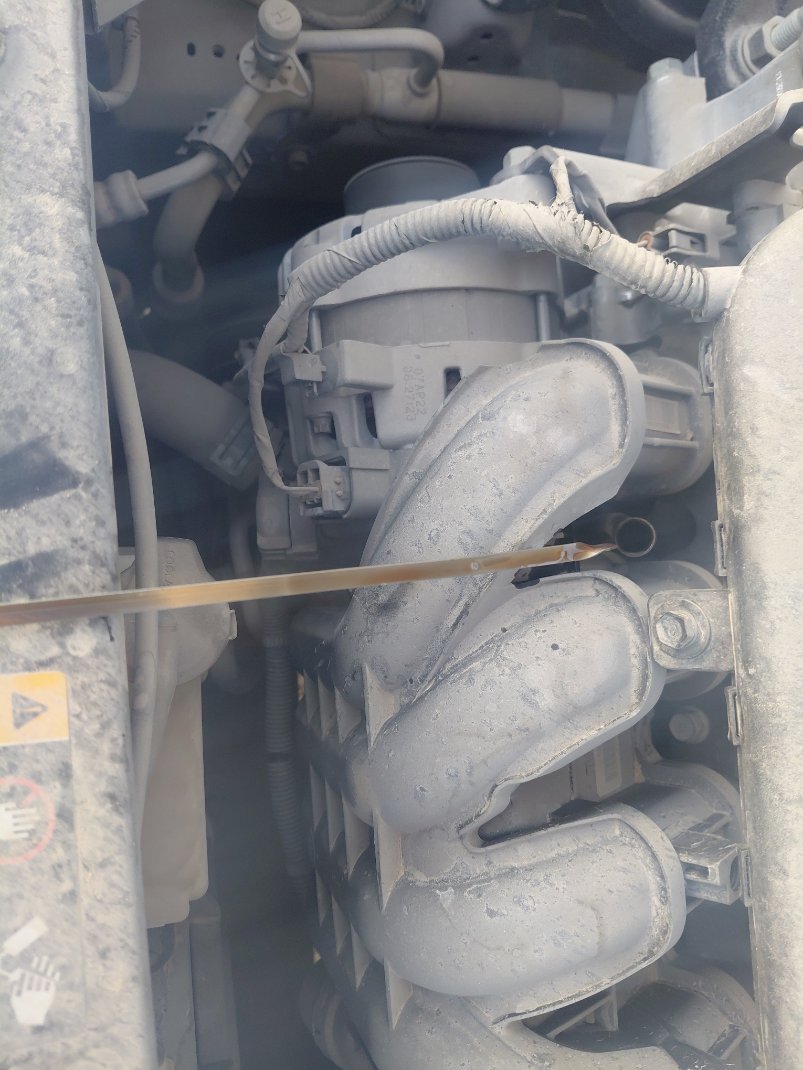 هيونداي أكسنت FLEET 2023 image