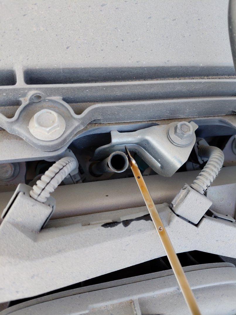 تويوتا كورولا XLI EXE M/R  2024 image