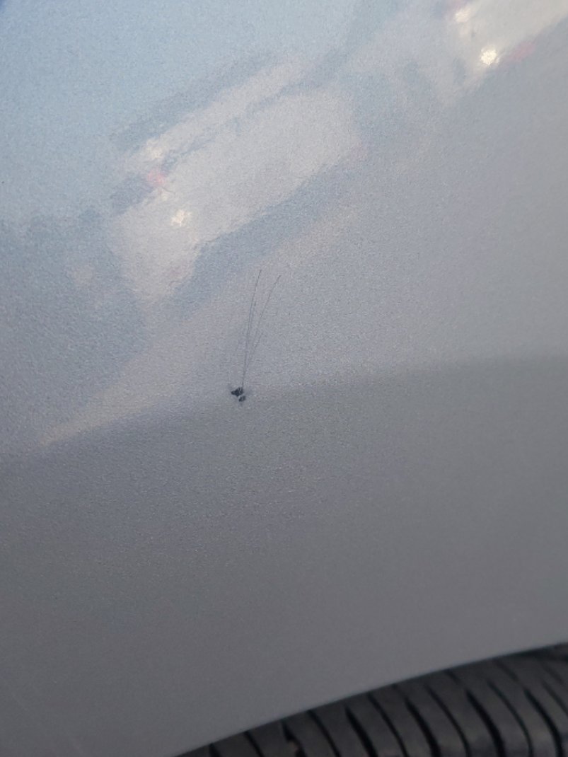 هيونداي أكسنت FLEET 2023 image