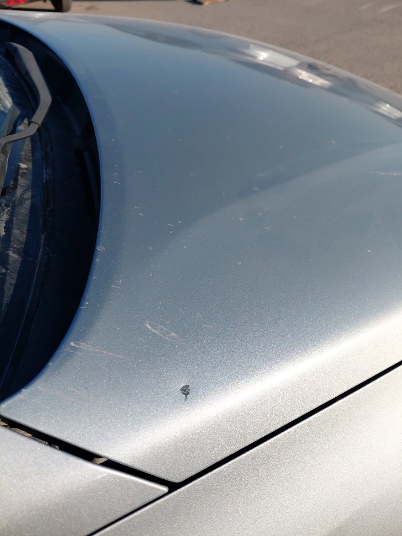 هيونداي أكسنت FLEET 2023 image