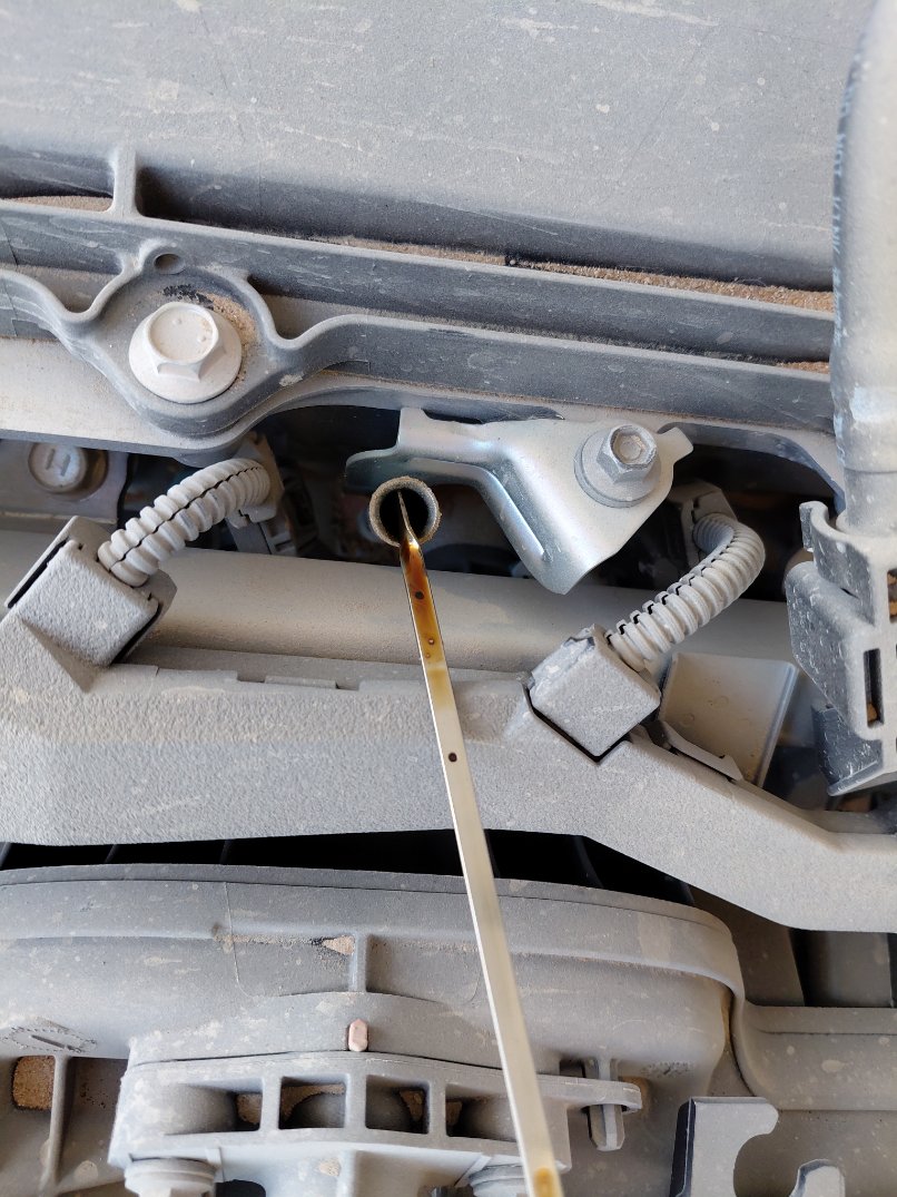 تويوتا كورولا XLI  2024 image