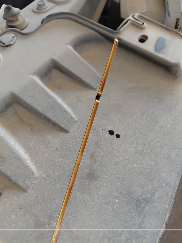 تويوتا راش GL Sport 2023 image