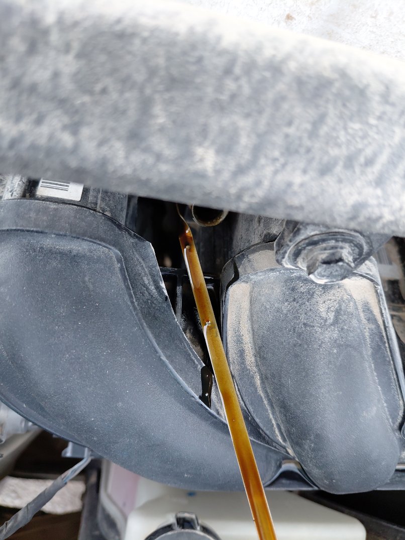 هيونداي أكسنت  STD  2023 image