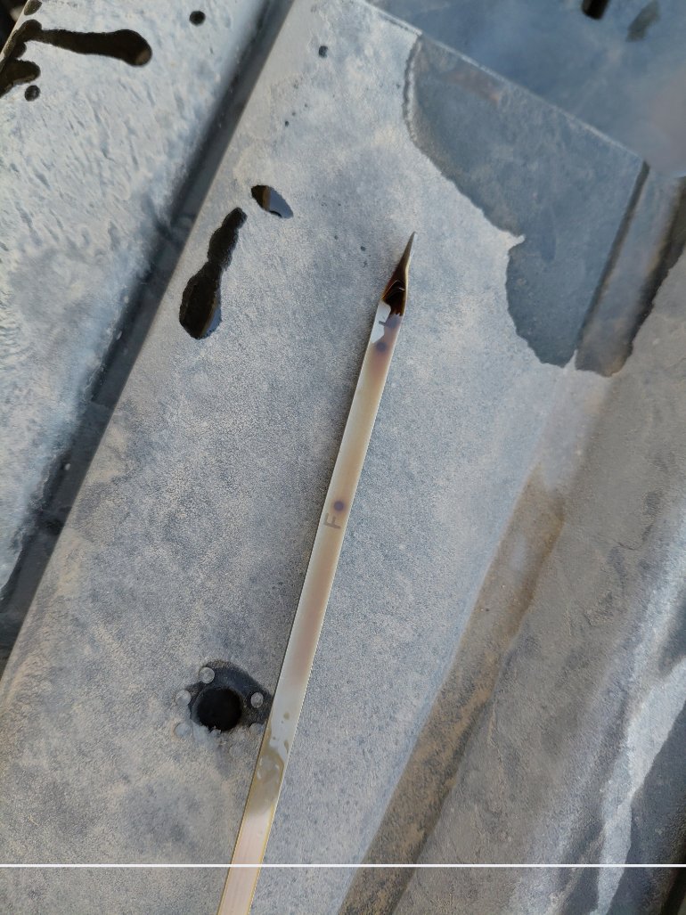 هيونداي أكسنت STD 2021 image