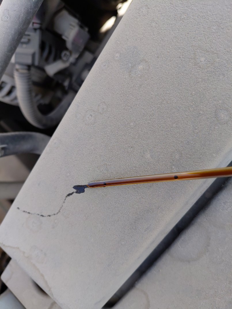 تويوتا كورولا  XLI EXE- M/R   2023 image