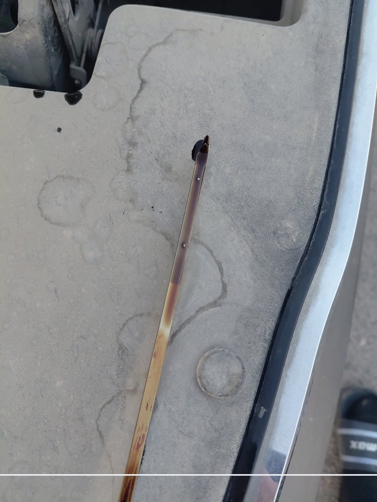 كيا بيجاس اي اكس 2021 image