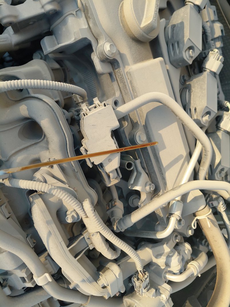 تويوتا كورولا  XLI  2022 image