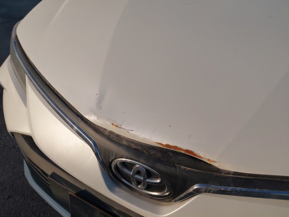 تويوتا كورولا  XLI  2022 image