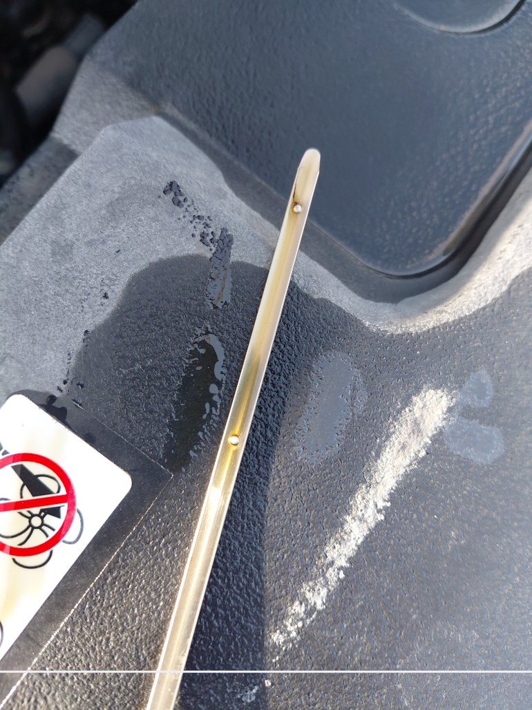 تويوتا يارس Y PLUS 2020 image