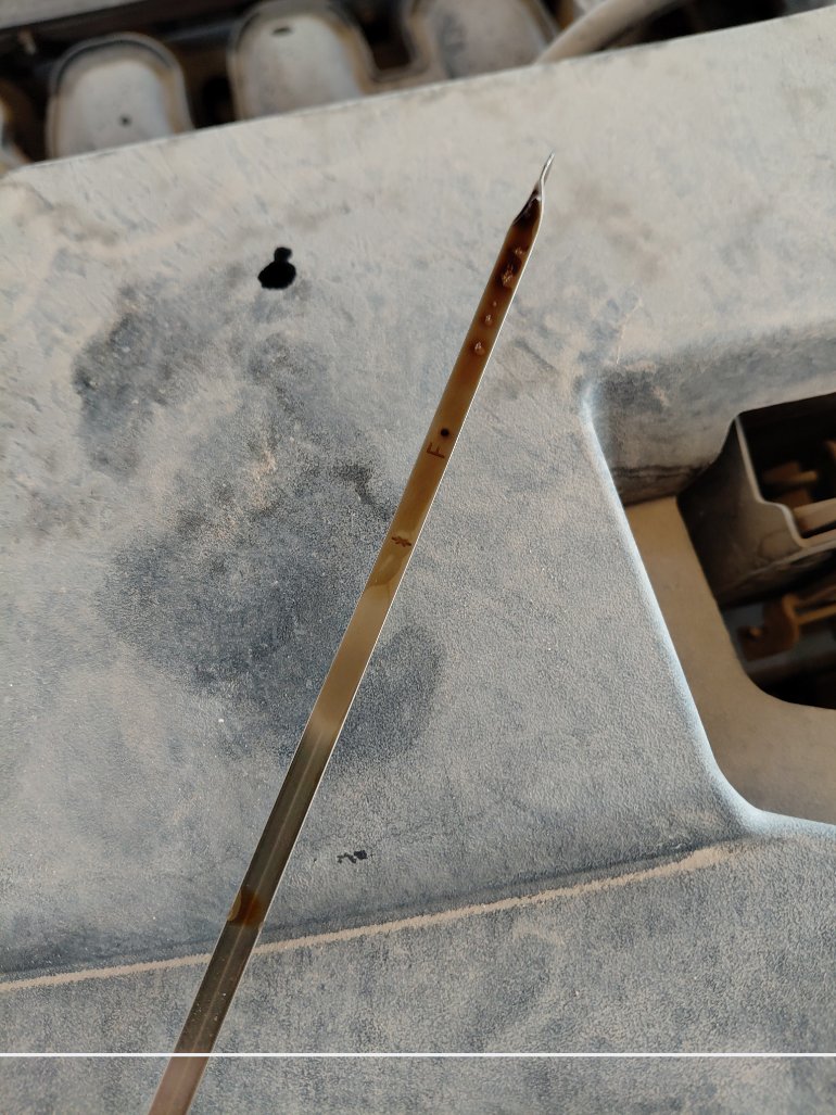 كيا Seltos اي اكس 2021 image