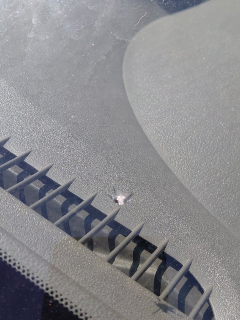 نيسان صني FLEET 2021 image