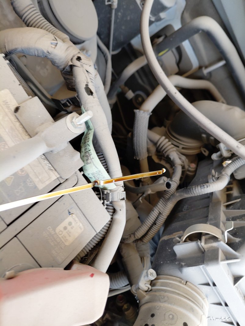 تويوتا راش  STD SPORT  2023 image