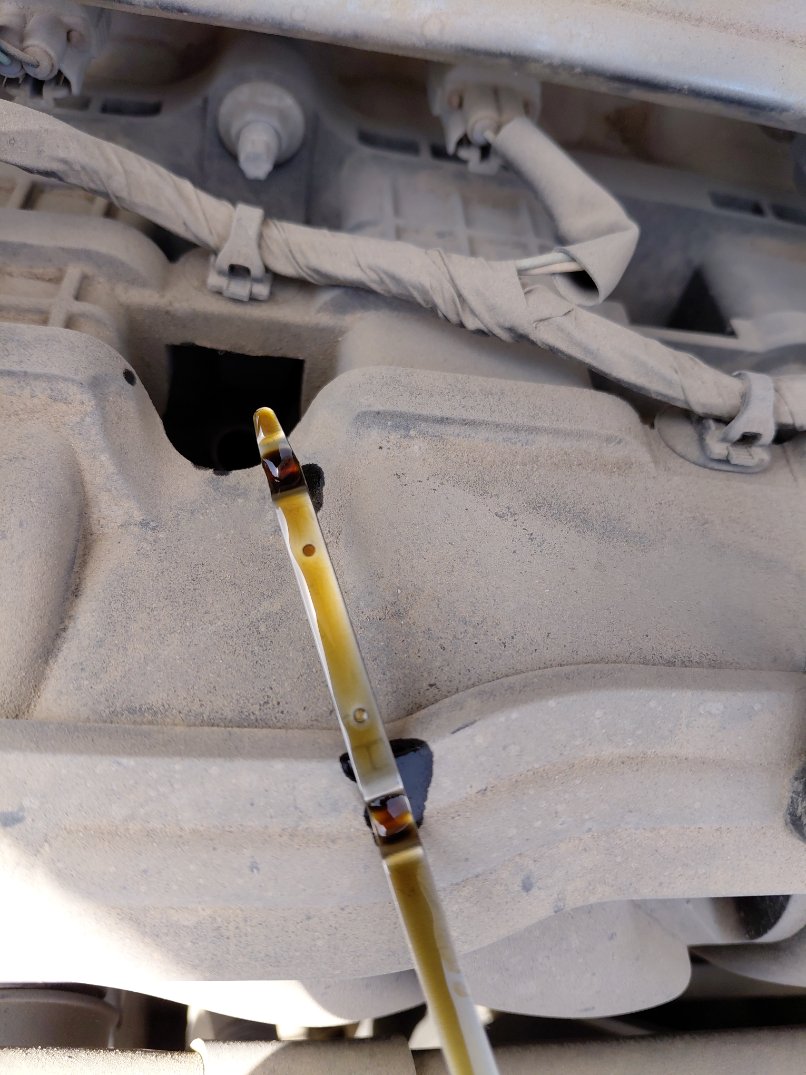 نيسان صني FLEET 2020 image