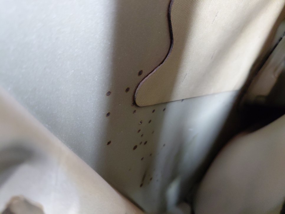 نيسان صني FLEET 2020 image