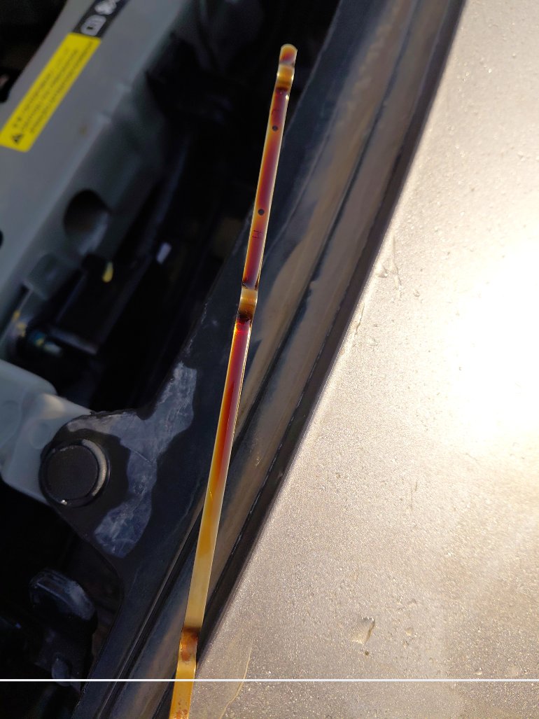 نيسان صني FLEET  2021 image