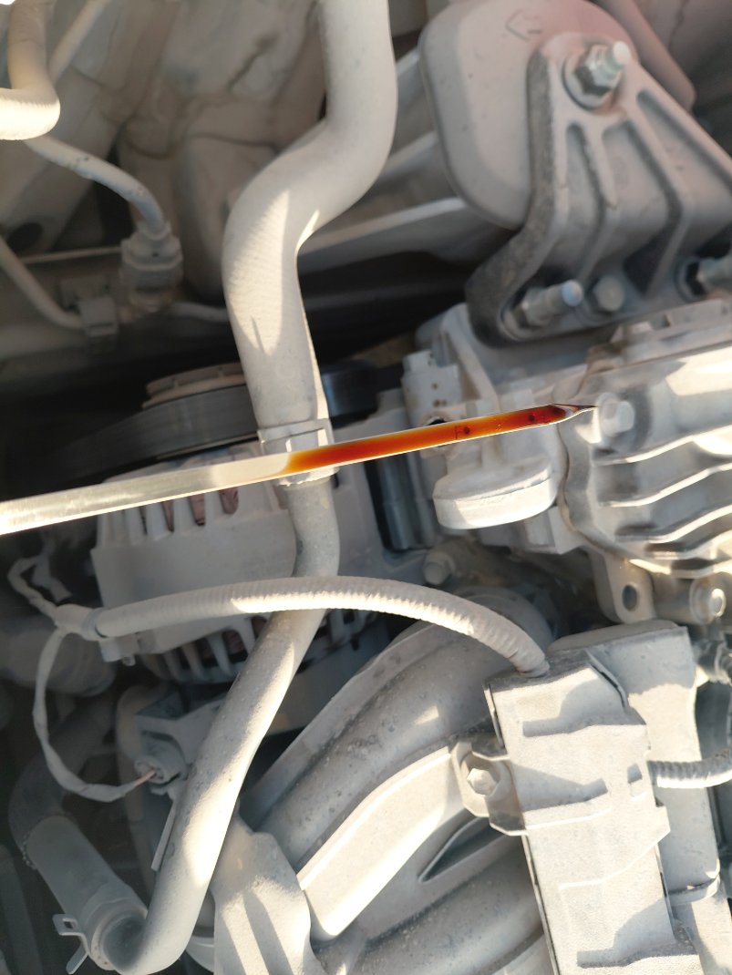 كيا سبورتاج LX SPORTS  2023 image