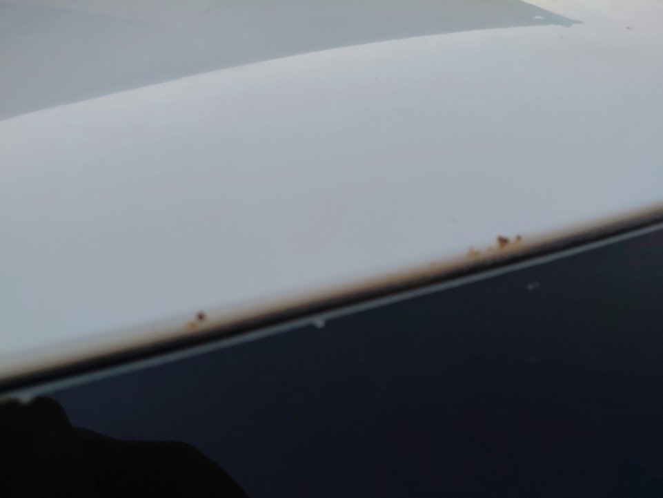 Toyota Corolla XLI EXECUTIVE  2020 image