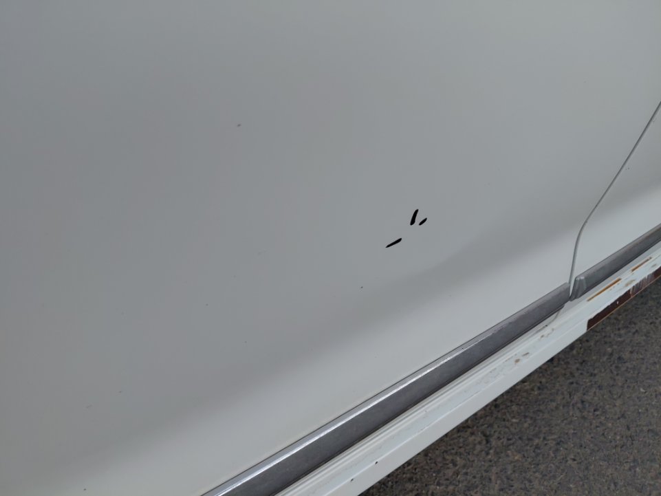 Toyota Corolla XLI EXECUTIVE  2020 image