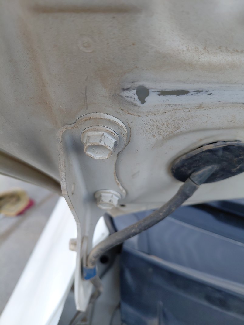 Toyota Corolla XLI EXECUTIVE  2020 image