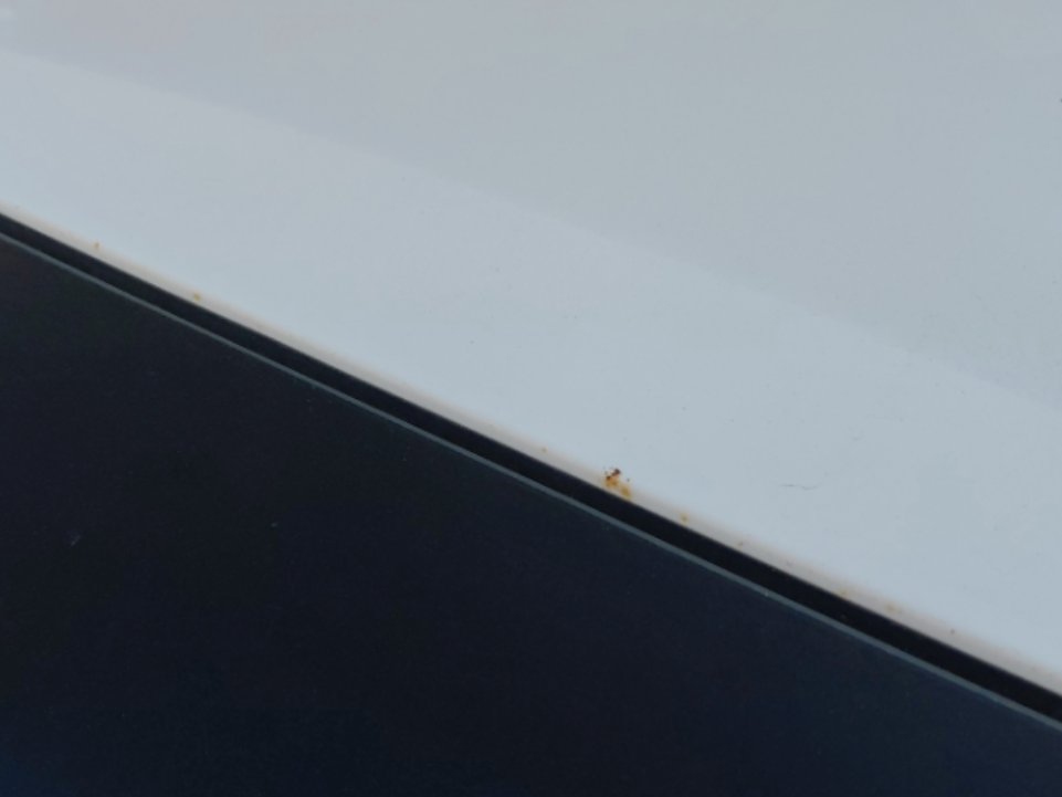 Hyundai Accent  FLEET 2020 image