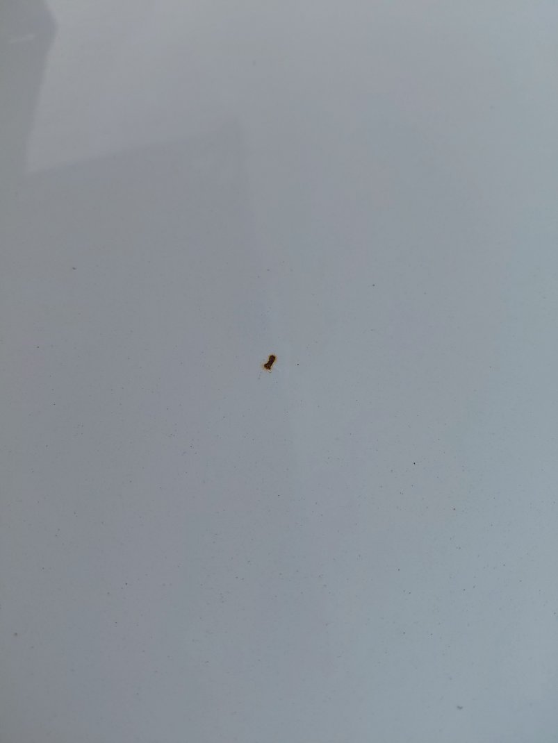 Hyundai Accent  FLEET 2020 image