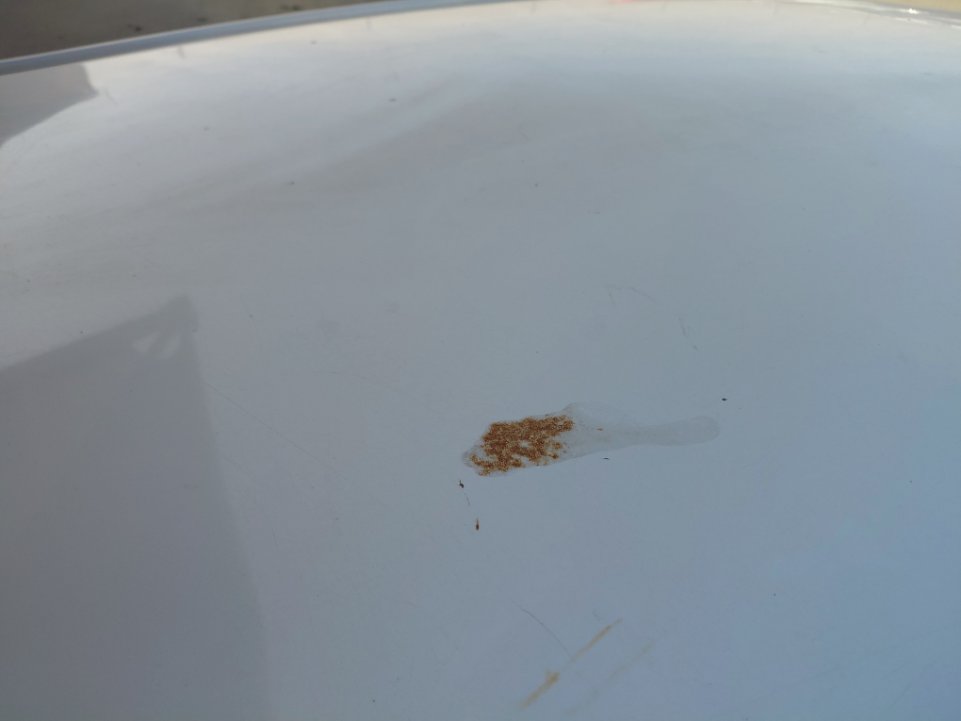 Toyota Corolla  XLI  2021 image