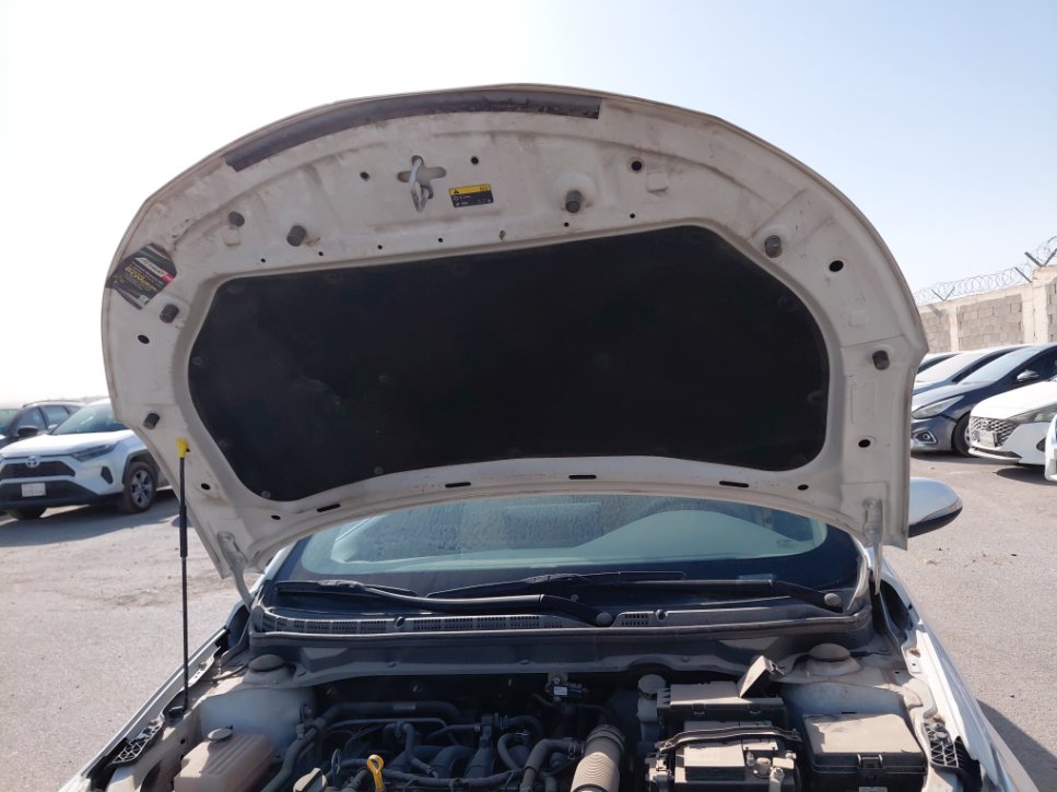 شانجان السفن اساسي  2024 image