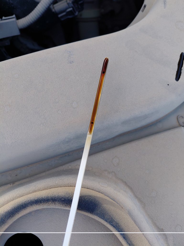 تويوتا كورولا XLI  2021 image