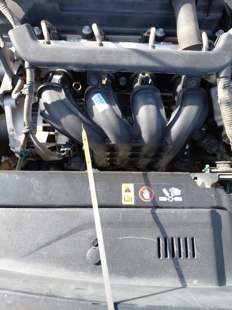 KIA Rio LX 2019 image