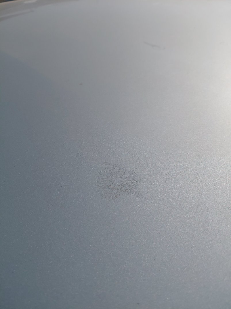 KIA Rio LX 2019 image