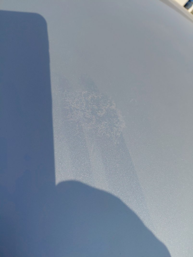 KIA Rio LX 2019 image