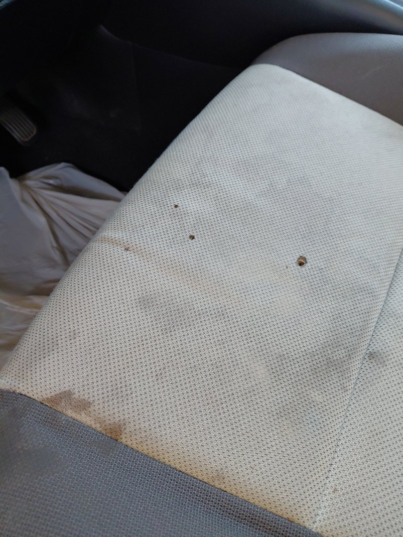 تويوتا كورولا XLI 2022 image